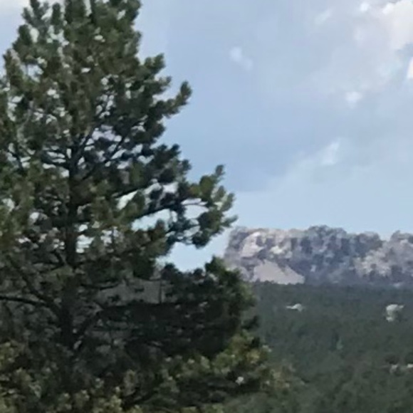 Meet your Posher, Olivia - Picture 2 of 2